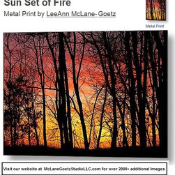 Metal Fine Art - Artwork