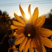 Helene Alexandra's photo