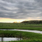 Lee Dowling's photo