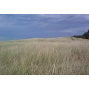 Chris Chockley's photo