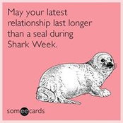 Andy Roche's photo