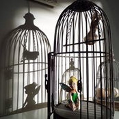 Beth Clinton's photo