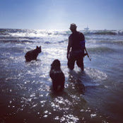 Indika W's photo