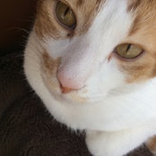 M's photo