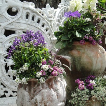 Container Gardens
