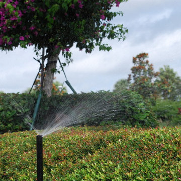 Rood Landscape Projects