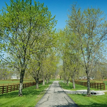 Show-Horse Viewing Platform