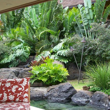 Hawaiian landscape