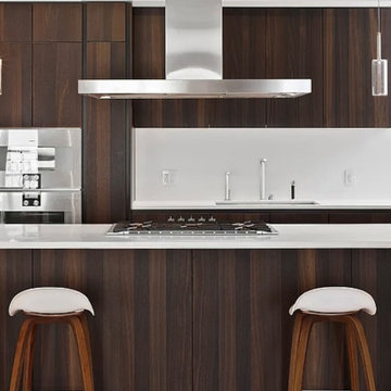 TriBeCa NY Penthouse Kitchen