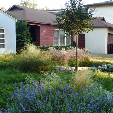 Naturalistic Transformation