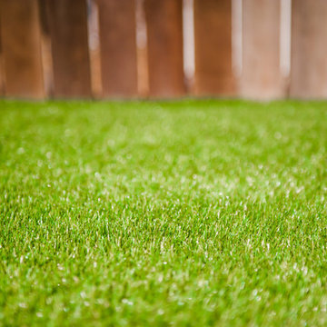 Front & Backyard Family Garden