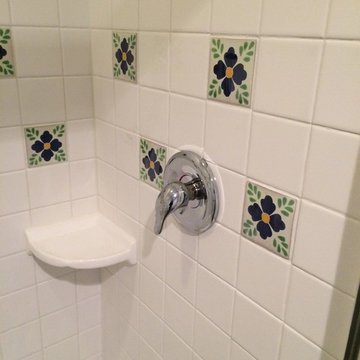Whitefish Remodel