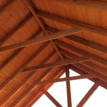 Alpine Pavilions