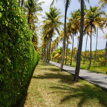 Mustique: Island Living with Tommy Hilfiger Style