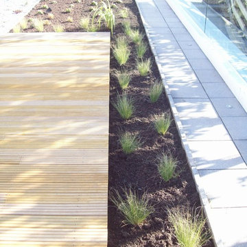 Rooftop Garden