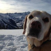 Kelli Rohrig's photo