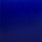 Matthieu Gauthier's photo