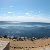 Aya Abbara's photo