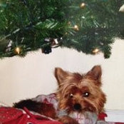 Lauren Peterson's photo