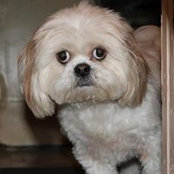 Evonne Coleman Katro's photo
