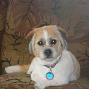 Patty He's photo