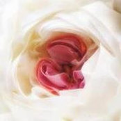 Mariam Sabry's photo