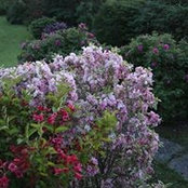 Margot Janes's photo