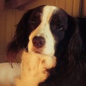 Wayne Grants foto
