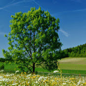 Foto von Heiko H. Schulz