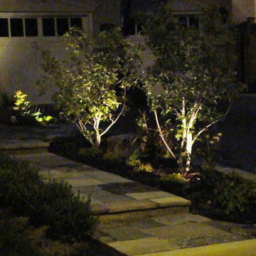 Landscape Lighting
