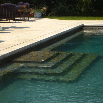 Pool Steps