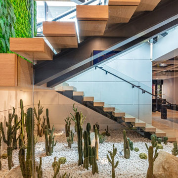 Bundy Drive Brentwood, Los Angeles luxury home modern indoor cactus garden