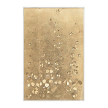 wall