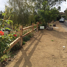 Landscape Adjacent to Street