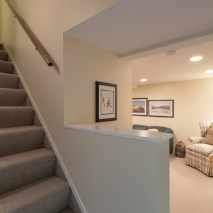 This is an example of a medium sized classic fully buried basement in Chicago with yellow walls, carpet and no fireplace.