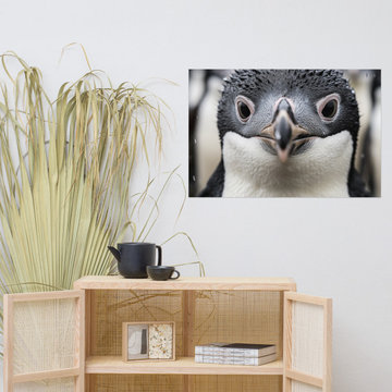 Wall Art Penguin: Close-up of a Baby Penguin Photorealism - Digital Artwork