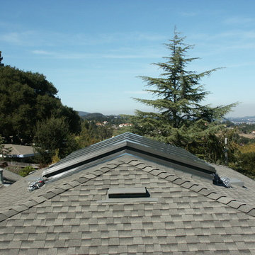 10 lite Ridge Skylight with shades
