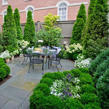 Patio Ideas