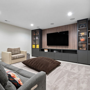 Basement TV Area