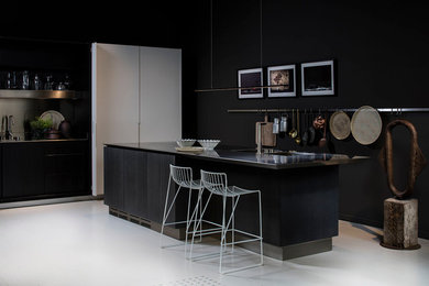 Inspiration for a contemporary kitchen in Lyon.