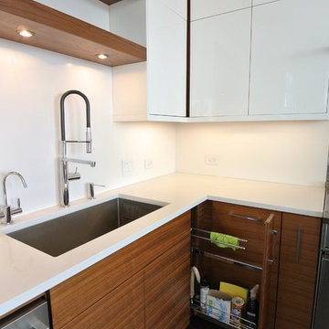Custom Kitchen with High Grade Plastic & Walnut Cabinets