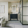 Celios Bathroom Vanity, Black With Chrome Trim, 36", Single Sink, Freestanding
