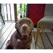 Tonia Hall's photo