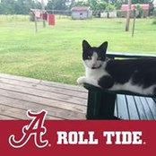 Diane Donaldson's photo