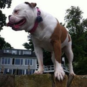 Travis Benoit's photo