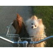 Tracy Bowling's photo