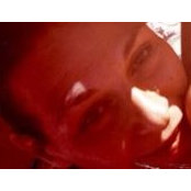 Tamara Ha's photo