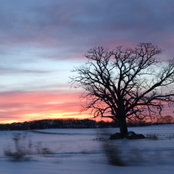 Claire Schultz's photo