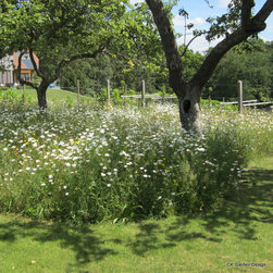 Wildflower meadow - Products