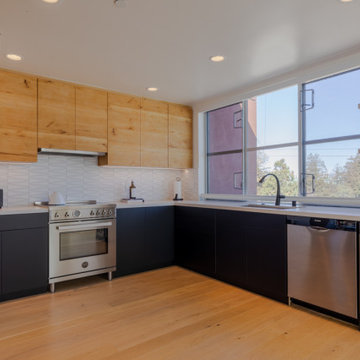 Interior remodeling- Dog -Patch apartment - Japanese style